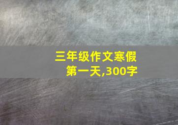 三年级作文寒假第一天,300字