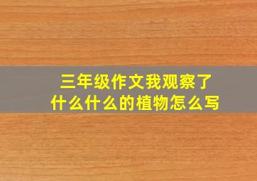 三年级作文我观察了什么什么的植物怎么写