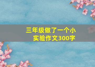 三年级做了一个小实验作文300字