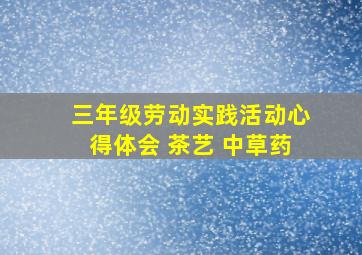 三年级劳动实践活动心得体会 茶艺 中草药