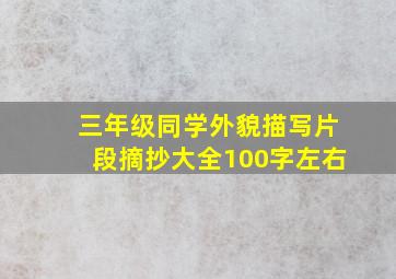 三年级同学外貌描写片段摘抄大全100字左右