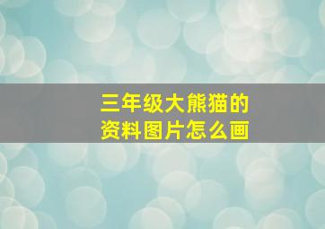 三年级大熊猫的资料图片怎么画