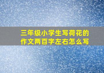 三年级小学生写荷花的作文两百字左右怎么写