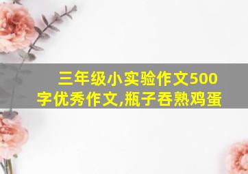 三年级小实验作文500字优秀作文,瓶子吞熟鸡蛋