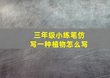 三年级小练笔仿写一种植物怎么写