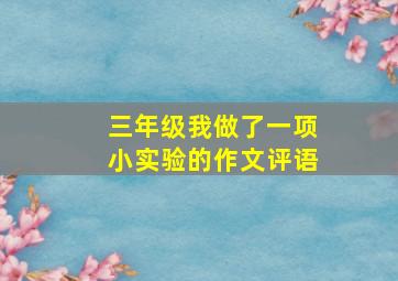 三年级我做了一项小实验的作文评语