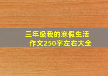 三年级我的寒假生活作文250字左右大全