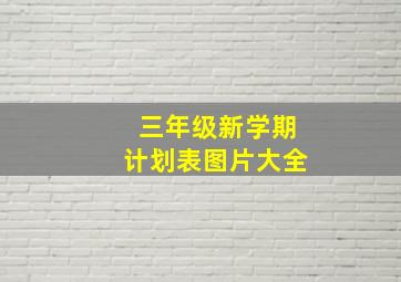 三年级新学期计划表图片大全