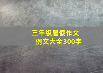 三年级暑假作文例文大全300字