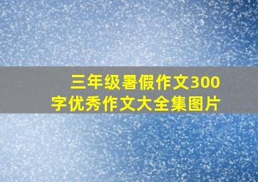 三年级暑假作文300字优秀作文大全集图片