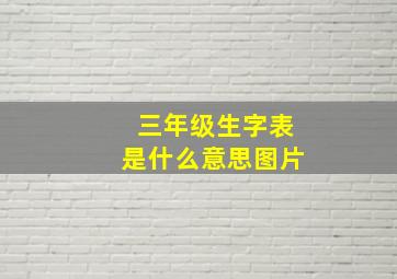 三年级生字表是什么意思图片