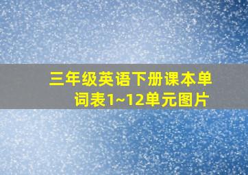 三年级英语下册课本单词表1~12单元图片