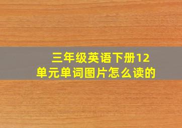 三年级英语下册12单元单词图片怎么读的