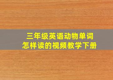 三年级英语动物单词怎样读的视频教学下册