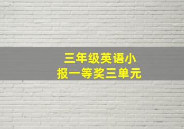 三年级英语小报一等奖三单元