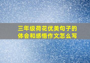 三年级荷花优美句子的体会和感悟作文怎么写