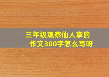 三年级观察仙人掌的作文300字怎么写呀