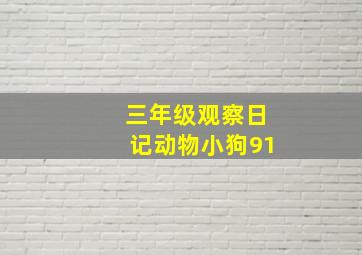 三年级观察日记动物小狗91