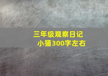 三年级观察日记小猫300字左右