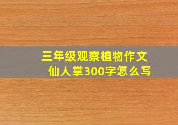 三年级观察植物作文仙人掌300字怎么写