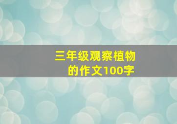 三年级观察植物的作文100字