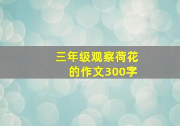 三年级观察荷花的作文300字