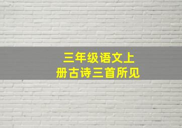 三年级语文上册古诗三首所见