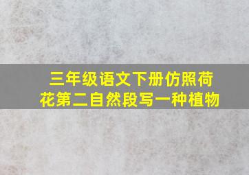 三年级语文下册仿照荷花第二自然段写一种植物