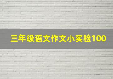 三年级语文作文小实验100