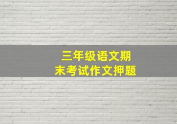 三年级语文期末考试作文押题