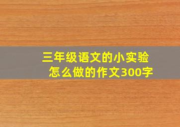 三年级语文的小实验怎么做的作文300字