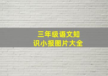 三年级语文知识小报图片大全