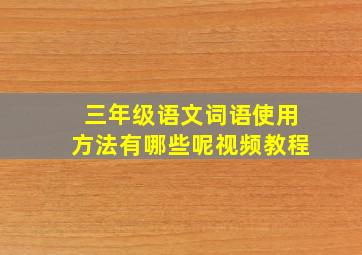 三年级语文词语使用方法有哪些呢视频教程