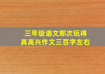 三年级语文那次玩得真高兴作文三百字左右