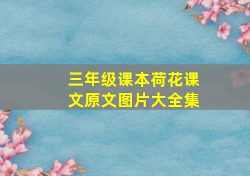 三年级课本荷花课文原文图片大全集