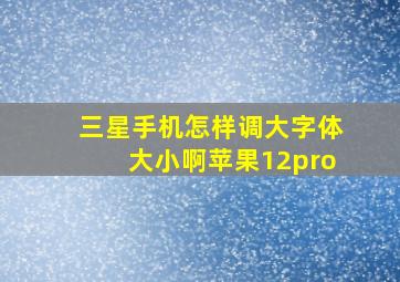 三星手机怎样调大字体大小啊苹果12pro