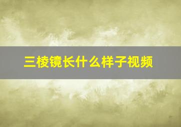 三棱镜长什么样子视频