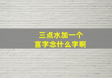 三点水加一个言字念什么字啊