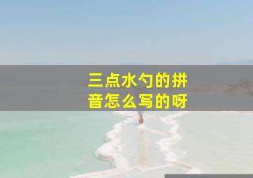 三点水勺的拼音怎么写的呀