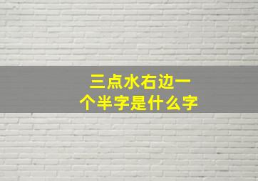 三点水右边一个半字是什么字