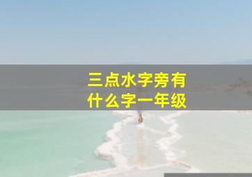 三点水字旁有什么字一年级