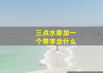 三点水旁加一个带字念什么