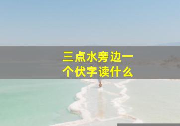 三点水旁边一个伏字读什么