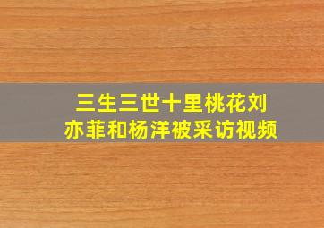 三生三世十里桃花刘亦菲和杨洋被采访视频