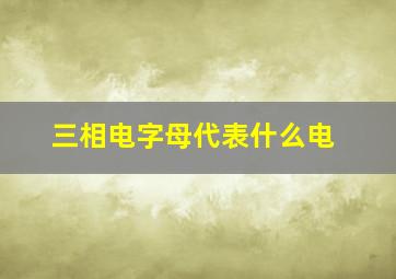 三相电字母代表什么电