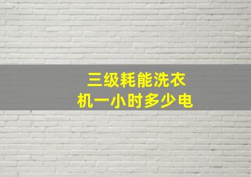 三级耗能洗衣机一小时多少电