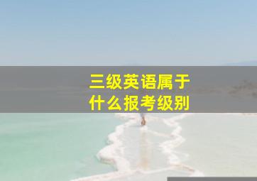 三级英语属于什么报考级别