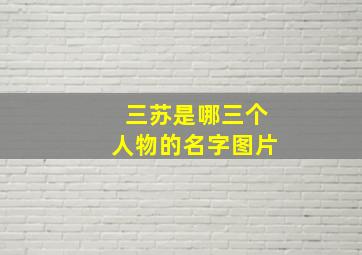 三苏是哪三个人物的名字图片