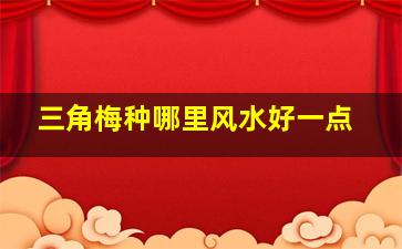 三角梅种哪里风水好一点