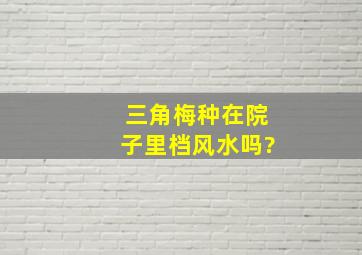 三角梅种在院子里档风水吗?